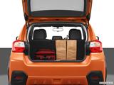  Trunk props photo